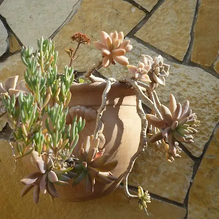 Casa Vacanze Chiara Lecce
